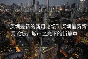 “深圳最新的新月论坛”深圳最新新月论坛，城市之光下的新篇章