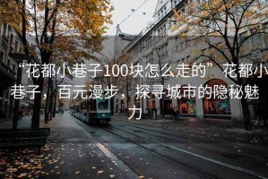 “花都小巷子100块怎么走的”花都小巷子，百元漫步，探寻城市的隐秘魅力