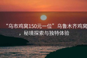 “乌市鸡窝150元一位”乌鲁木齐鸡窝，秘境探索与独特体验