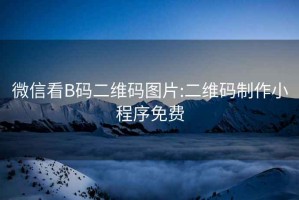 微信看B码二维码图片:二维码制作小程序免费