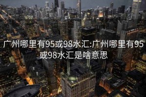 广州哪里有95或98水汇:广州哪里有95或98水汇是啥意思