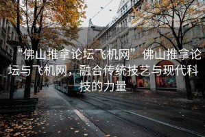 “佛山推拿论坛飞机网”佛山推拿论坛与飞机网，融合传统技艺与现代科技的力量