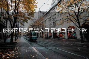 丽丽花贷款申请入口:高炮口子秒下款