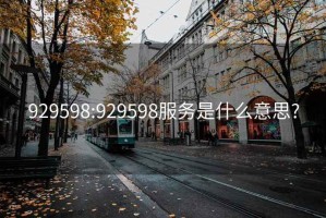 929598:929598服务是什么意思?