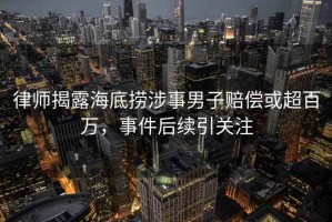 律师揭露海底捞涉事男子赔偿或超百万，事件后续引关注