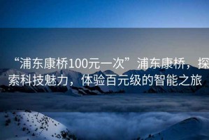 “浦东康桥100元一次”浦东康桥，探索科技魅力，体验百元级的智能之旅