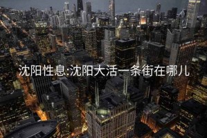 沈阳性息:沈阳大活一条街在哪儿