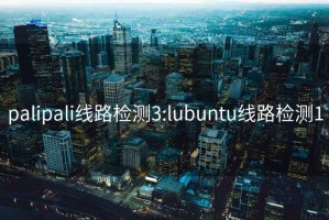 palipali线路检测3:lubuntu线路检测1