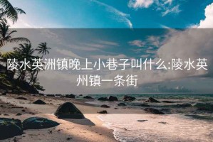 陵水英洲镇晚上小巷子叫什么:陵水英州镇一条街