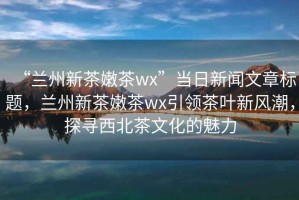 “兰州新茶嫩茶wx”当日新闻文章标题，兰州新茶嫩茶wx引领茶叶新风潮，探寻西北茶文化的魅力