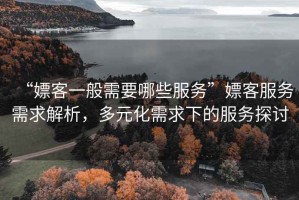 “嫖客一般需要哪些服务”嫖客服务需求解析，多元化需求下的服务探讨