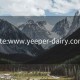 site:www.yeeper-dairy.com: