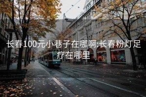 长春100元小巷子在哪啊:长春粉灯足疗在哪里