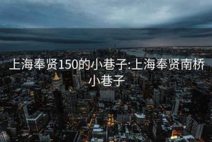 上海奉贤150的小巷子:上海奉贤南桥小巷子