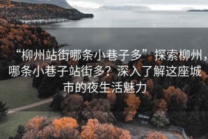 “柳州站街哪条小巷子多”探索柳州，哪条小巷子站街多？深入了解这座城市的夜生活魅力