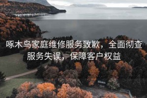 啄木鸟家庭维修服务致歉，全面彻查服务失误，保障客户权益