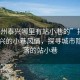 “泰州泰兴哪里有站小巷的”揭秘泰州泰兴的小巷风情，探寻城市隐秘角落的站小巷