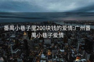 番禺小巷子里200块钱的爱情:广州番禺小巷子爱情