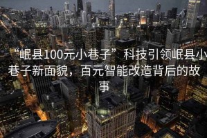 “岷县100元小巷子”科技引领岷县小巷子新面貌，百元智能改造背后的故事