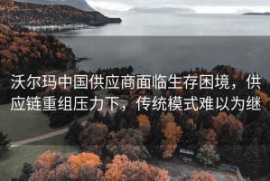 沃尔玛中国供应商面临生存困境，供应链重组压力下，传统模式难以为继