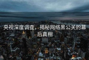 央视深度调查，揭秘网络黑公关的幕后真相