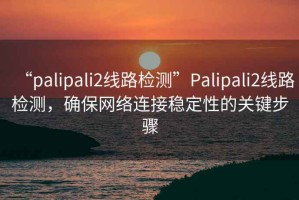 “palipali2线路检测”Palipali2线路检测，确保网络连接稳定性的关键步骤