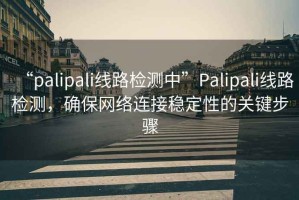 “palipali线路检测中”Palipali线路检测，确保网络连接稳定性的关键步骤