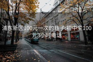 浦东新区100元一次的巷子:初中生100元3小时电话