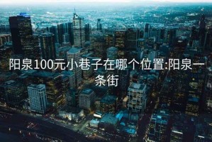 阳泉100元小巷子在哪个位置:阳泉一条街