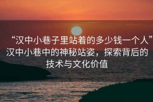 “汉中小巷子里站着的多少钱一个人”汉中小巷中的神秘站姿，探索背后的技术与文化价值