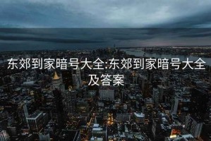 东郊到家暗号大全:东郊到家暗号大全及答案