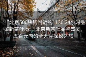 “北京500块钱附近约1130.24小时品鉴新茶叶.cc”北京新茶叶品鉴盛宴，五百元内的全天候探秘之旅