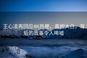 王心凌再回应4K热梗，真相大白，背后的故事令人唏嘘