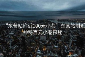 “东营站附近100元小巷”东营站附近神秘百元小巷探秘