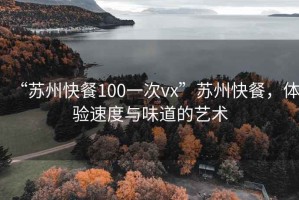 “苏州快餐100一次vx”苏州快餐，体验速度与味道的艺术