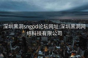 深圳黑洞sngod论坛网址:深圳黑洞网络科技有限公司