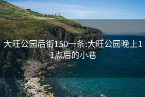 大旺公园后街150一条:大旺公园晚上11点后的小巷