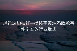 风景这边独好—杨铭宇黄焖鸡致歉事件引发的行业反思