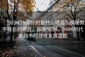 “92949598分别是什么项目”揭秘数字背后的项目，探索9294、9598所代表的不同领域发展蓝图