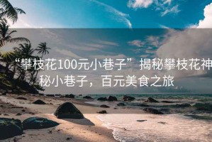 “攀枝花100元小巷子”揭秘攀枝花神秘小巷子，百元美食之旅