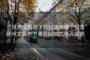 “抚州文昌桥下找姑娘在哪个位置”抚州文昌桥下寻找姑娘的地点探索