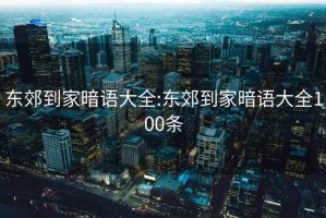 东郊到家暗语大全:东郊到家暗语大全100条