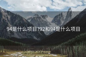 94是什么项目?92和94是什么项目