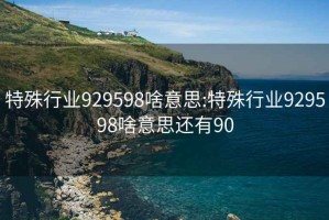 特殊行业929598啥意思:特殊行业929598啥意思还有90