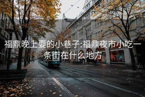 福鼎晚上耍的小巷子:福鼎夜市小吃一条街在什么地方