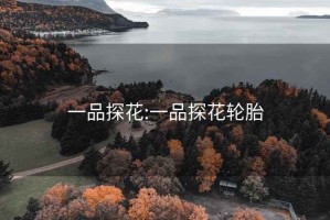 一品探花:一品探花轮胎