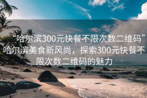 “哈尔滨300元快餐不限次数二维码”哈尔滨美食新风尚，探索300元快餐不限次数二维码的魅力