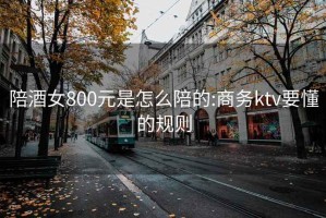 陪酒女800元是怎么陪的:商务ktv要懂的规则