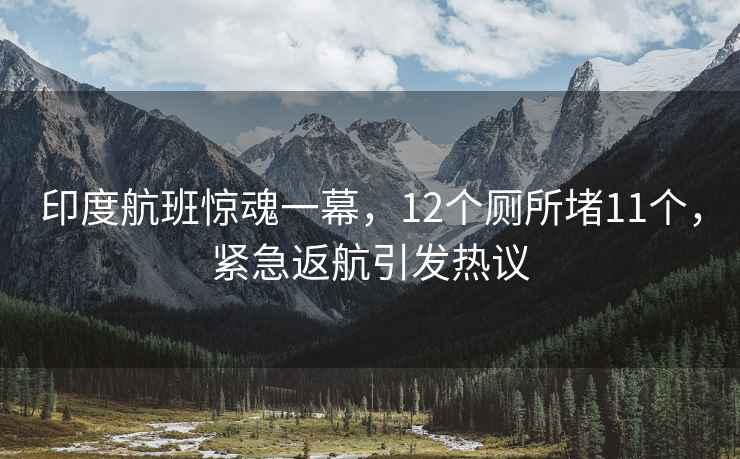 印度航班惊魂一幕，12个厕所堵11个，紧急返航引发热议