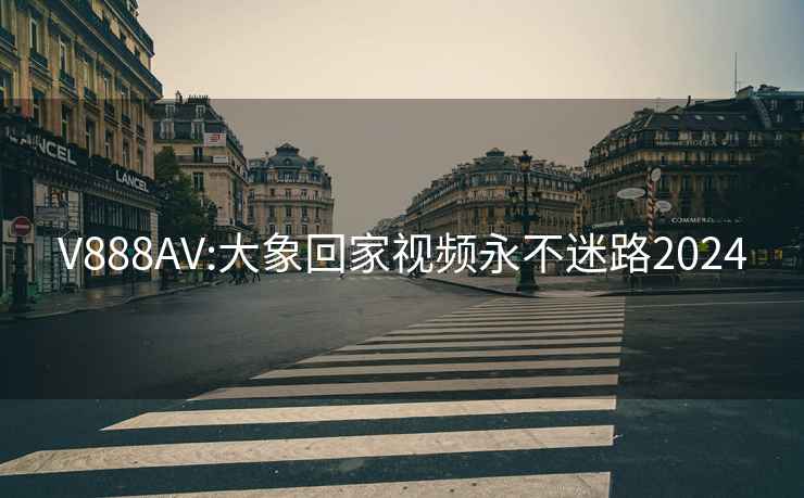 V888AV:大象回家视频永不迷路2024